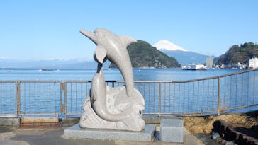 伊豆・三津シーパラダイスに投稿された画像（2023/2/11）