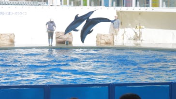 伊豆・三津シーパラダイスに投稿された画像（2023/2/11）