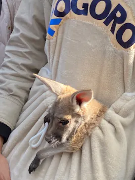 神戸どうぶつ王国に投稿された画像（2023/2/11）