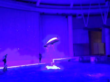 アクアワールド茨城県大洗水族館に投稿された画像（2023/2/11）