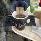 神戸どうぶつ王国に投稿された画像（2023/2/12）