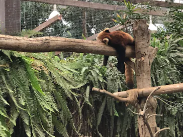 神戸どうぶつ王国に投稿された画像（2023/2/11）