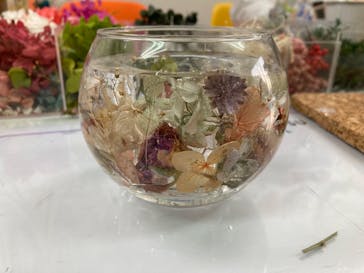 ずこうしつ〜sugamo〜に投稿された画像（2023/2/11）