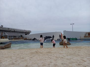 大分マリーンパレス水族館 「うみたまご」に投稿された画像（2023/2/11）