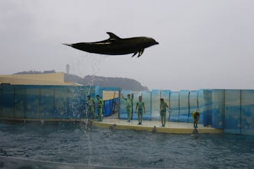 新江ノ島水族館に投稿された画像（2023/2/11）