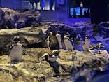 すみだ水族館に投稿された画像（2023/2/12）
