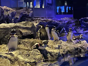 すみだ水族館に投稿された画像（2023/2/11）