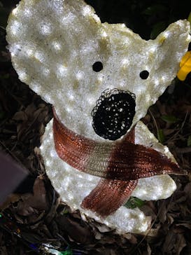 アクロス福岡イルミネーションに投稿された画像（2023/2/12）