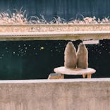 淡路ファームパーク イングランドの丘に投稿された画像（2023/2/12）