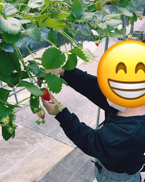 淡路ファームパーク イングランドの丘に投稿された画像（2023/2/12）