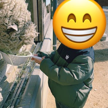 淡路ファームパーク イングランドの丘に投稿された画像（2023/2/12）