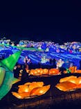 伊豆ぐらんぱる公園に投稿された画像（2023/2/12）