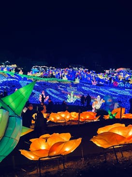 伊豆ぐらんぱる公園に投稿された画像（2023/2/12）