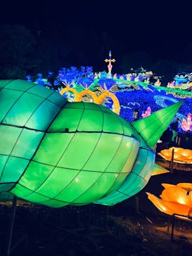 伊豆ぐらんぱる公園に投稿された画像（2023/2/12）