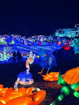 伊豆ぐらんぱる公園に投稿された画像（2023/2/12）