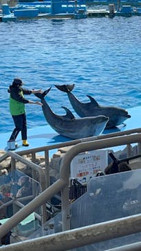 名古屋港水族館に投稿された画像（2023/2/12）