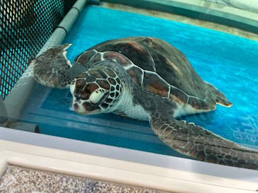 名古屋港水族館に投稿された画像（2023/2/12）
