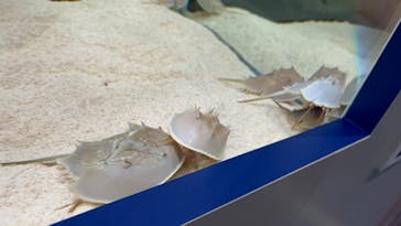 名古屋港水族館に投稿された画像（2023/2/12）