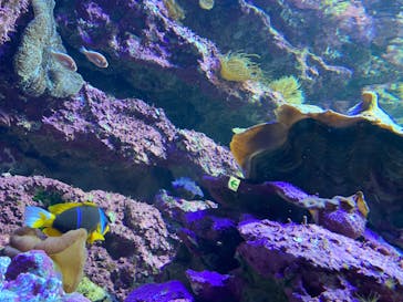 サンシャイン水族館に投稿された画像（2023/2/12）