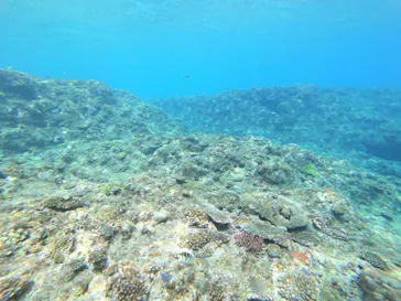 武藤潜水に投稿された画像（2023/2/12）