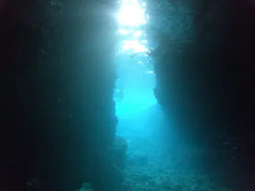 武藤潜水に投稿された画像（2023/2/12）