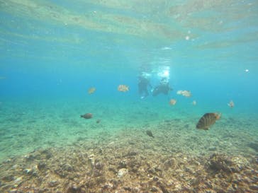 沖縄マリンサービス碧に投稿された画像（2023/2/12）