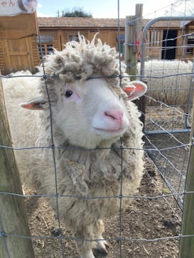 まかいの牧場に投稿された画像（2023/2/12）