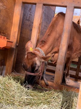 まかいの牧場に投稿された画像（2023/2/12）