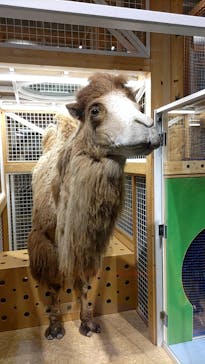 国立科学博物館に投稿された画像（2023/2/12）