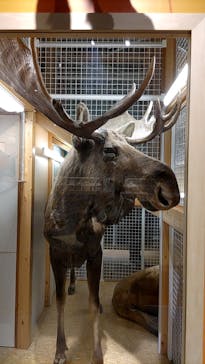 国立科学博物館に投稿された画像（2023/2/12）