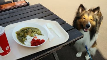 伊豆シャボテン動物公園に投稿された画像（2023/2/12）