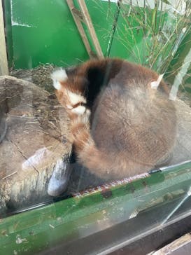 東武動物公園に投稿された画像（2023/2/12）