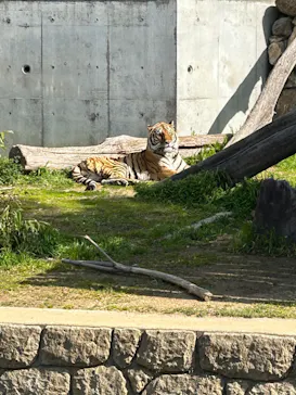 天王寺動物園に投稿された画像（2023/2/12）