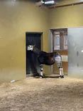 よこはま動物園ズーラシアに投稿された画像（2023/2/12）