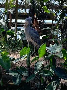 神戸どうぶつ王国に投稿された画像（2023/2/12）