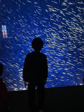 大分マリーンパレス水族館 「うみたまご」に投稿された画像（2023/2/12）