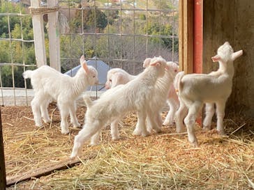 ワールド牧場に投稿された画像（2023/2/12）