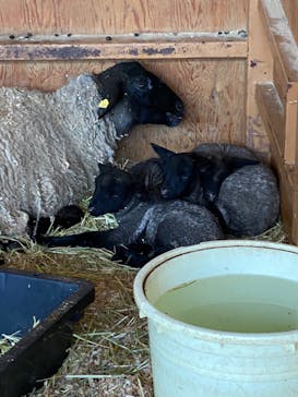 ワールド牧場に投稿された画像（2023/2/12）