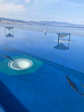 大分マリーンパレス水族館 「うみたまご」に投稿された画像（2023/2/12）