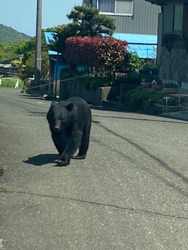 沖縄マリンサービス碧に投稿された画像（2023/2/12）