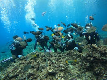 沖縄マリンサービス碧に投稿された画像（2023/2/12）