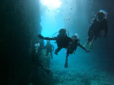 沖縄マリンサービス碧に投稿された画像（2023/2/12）