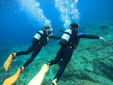 沖縄マリンサービス碧に投稿された画像（2023/2/12）