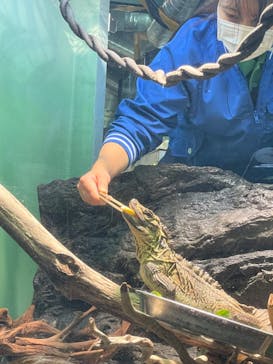 サンシャイン水族館に投稿された画像（2023/2/12）