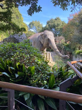 到津の森公園に投稿された画像（2023/2/12）