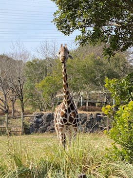 到津の森公園に投稿された画像（2023/2/12）