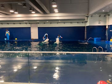 島根県立 しまね海洋館に投稿された画像（2023/2/12）