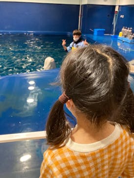 島根県立 しまね海洋館に投稿された画像（2023/2/12）