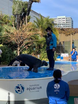 サンシャイン水族館に投稿された画像（2023/2/12）
