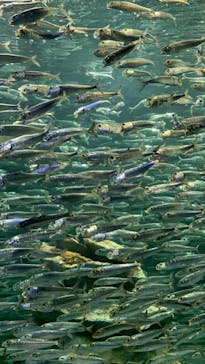 サンシャイン水族館に投稿された画像（2023/2/12）